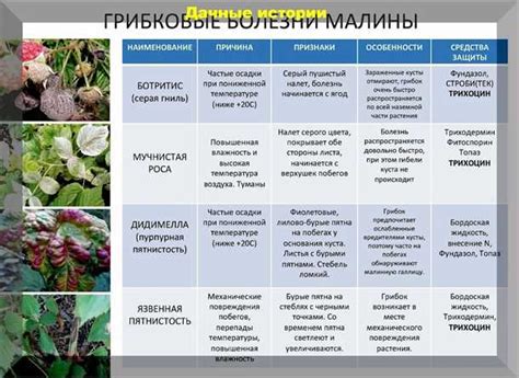 Органические способы противодействия вредоносным микроорганизмам в садовом участке