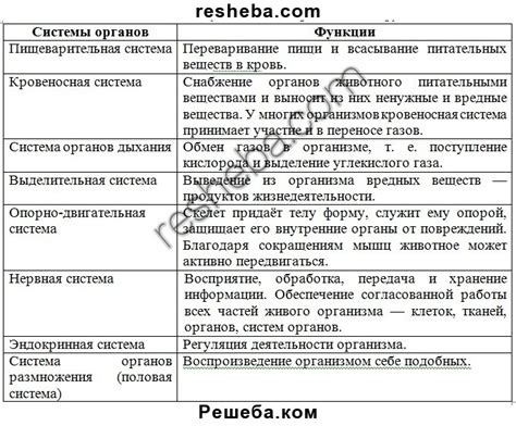 Органы и их функции: ключевые компоненты жизнедеятельности