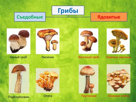 Орешки и их особое значение в православном празднике