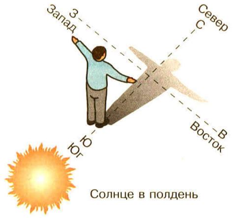 Ориентация на природе для определения направления движения