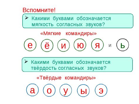 Орфографические правила, связанные с буквами, обозначающими мягкость и твердость звуков