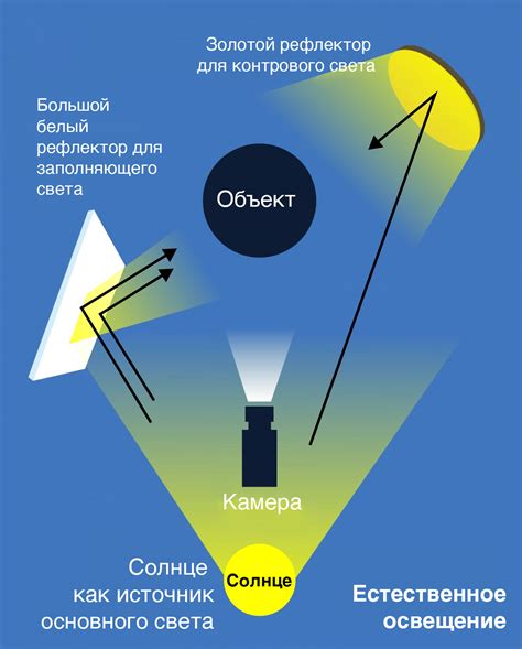 Освещение: обеспечение естественного ритма света в террариуме