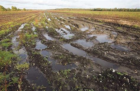 Осевание почвы и щелочные грунты как источник загрязнения воды