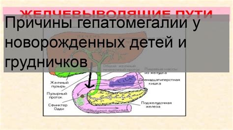 Осложнения и последствия гепатомегалии у детей: проблемы и их решение