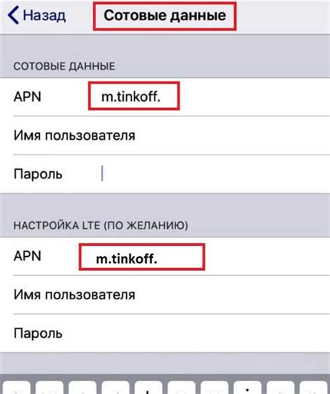 Основная информация и инструкции по настройке APN на iPhone