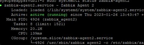 Основная функция агента Zabbix и его применение