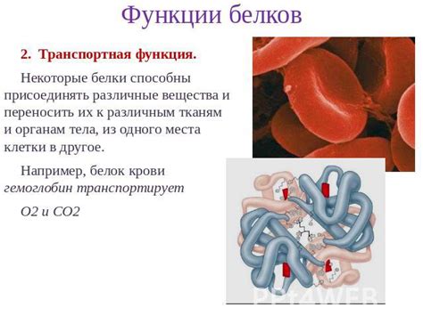 Основная функция и разнообразие лубрикантов