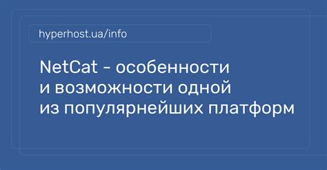 Основные возможности netcat