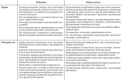 Основные задачи и обязанности в рамках работы специалиста Робик 409