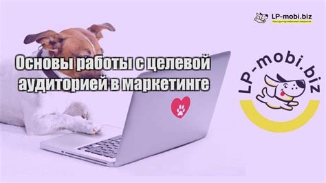 Основные инструменты работы с целевой аудиторией в социальной сети VK