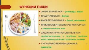 Основные источники макроэлементов в питании