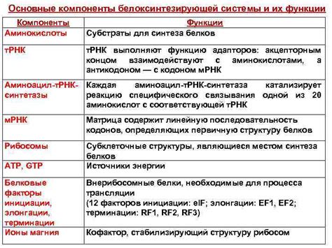 Основные компоненты апидры и их роль в процессе действия