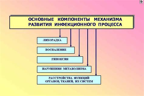 Основные компоненты баллистического механизма