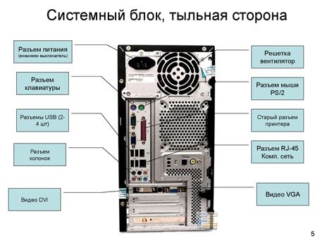 Основные компоненты желатина и их характеристики