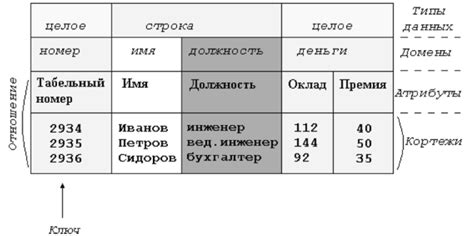 Основные концепции и термины, связанные с процессом сессионных данных в мессенджере WhatsApp