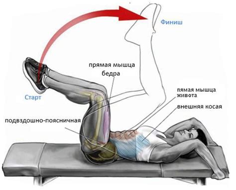 Основные методы тренировки для развития нижней части пресса