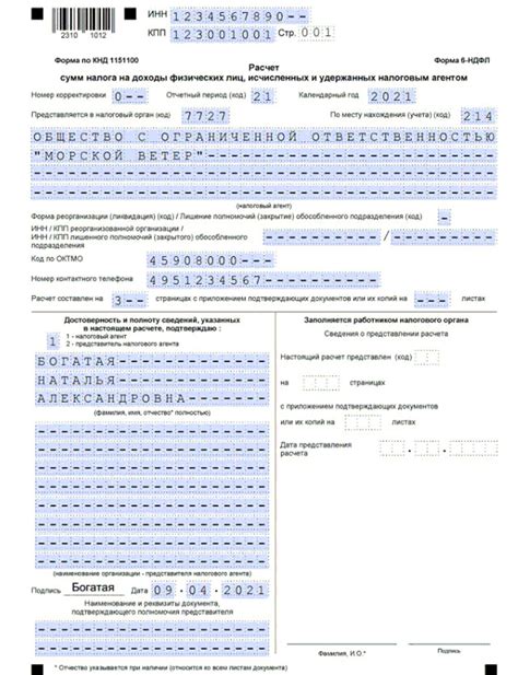 Основные особенности и задачи формы 6-НДФЛ