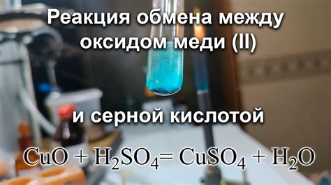 Основные отличия между оксидом 3 и оксидом 6: важные нюансы