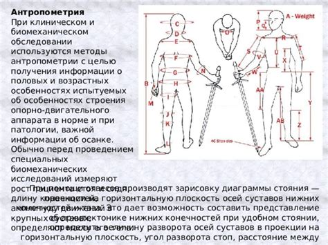 Основные патологии при погрузке и методы их избежания