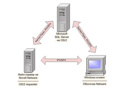 Основные понятия и определения IP-адреса сервера Атернос