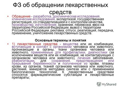 Основные понятия и принципы подачи заявления на электронных государственных порталах