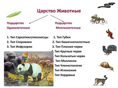 Основные представители животного мира в коллекции питомника