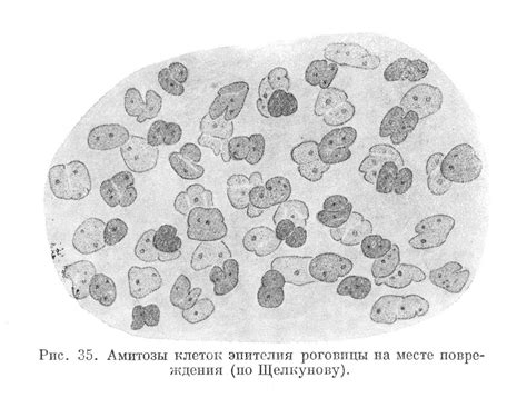 Основные признаки серьезного повреждения эпителия