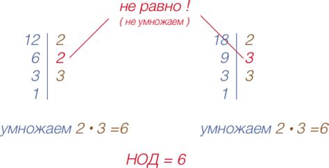 Основные принципы в математике: наибольший общий делитель и наименьшее общее кратное