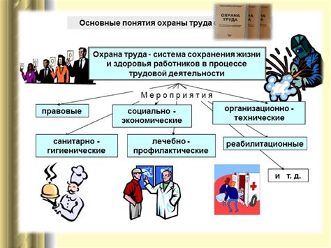 Основные принципы деятельности судей высшей инстанции