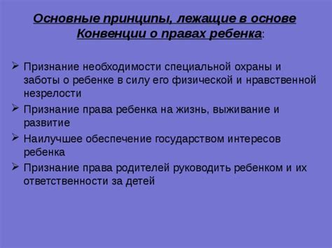 Основные принципы заботы о растениях любимцев