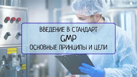 Основные принципы и цели программы "30 дней МГТ СК для учащегося"