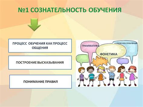 Основные принципы обучения молодого питомца правильной позе