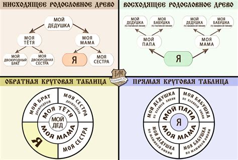 Основные принципы очищения генеалогического древа