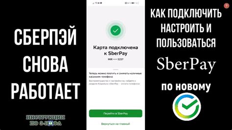 Основные принципы работы и назначение системы Сберпэй