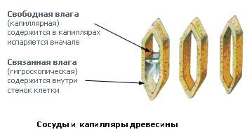 Основные принципы работы сушильной камеры для древесины