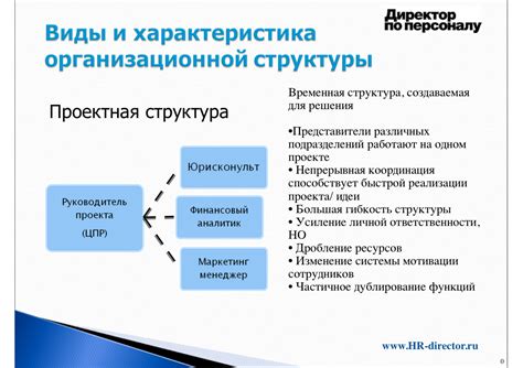 Основные принципы устройства организационной системы