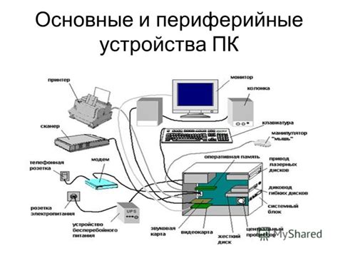 Основные принципы устройства присваивающей системы