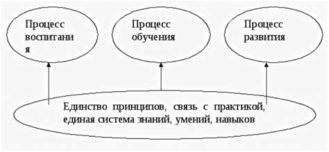 Основные принципы учения о взаимосвязи