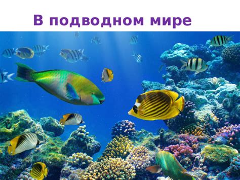 Основные принципы формирования эмалевого стекла в подводном мире