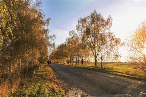 Основные причины, угрожающие пчелам при обработке золотых полей