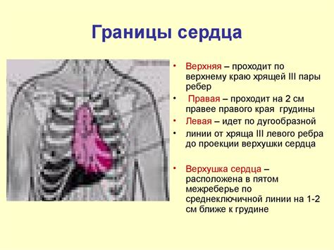 Основные проявления невроза сердца и их характеристика