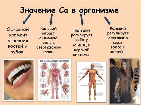 Основные симптомы недостатка кальция в организме