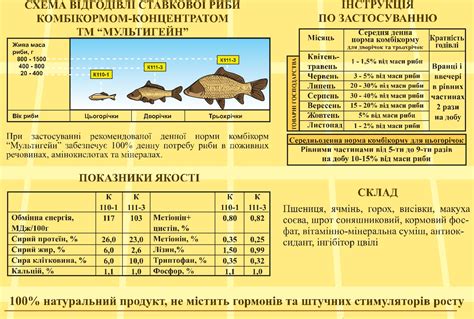 Основные требования к привлекательной смеси для карповых рыб