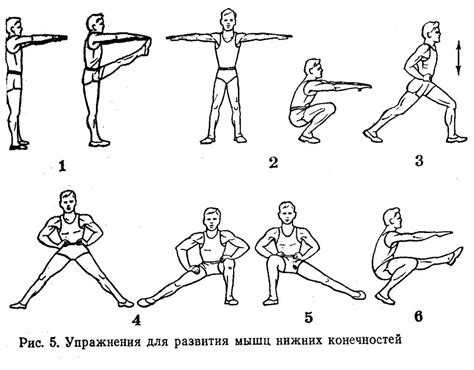 Основные упражнения для развития силы и мощного начала движения