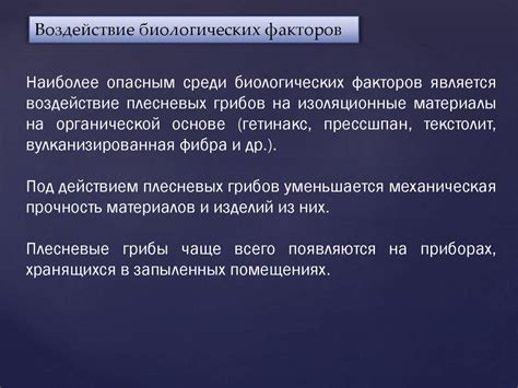 Основные факторы, влияющие на снижение фокусировки внимания и восстановление памяти у взрослых