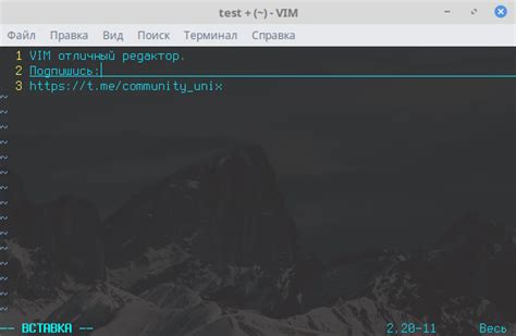 Основные функции редактора vim