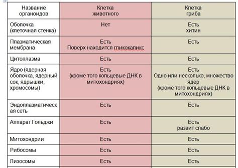 Основные характеристики и отличия между эфирным ТВ и кабельным ТВ