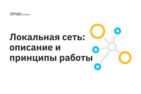 Основные цели и принципы работы экспертов в данной сфере