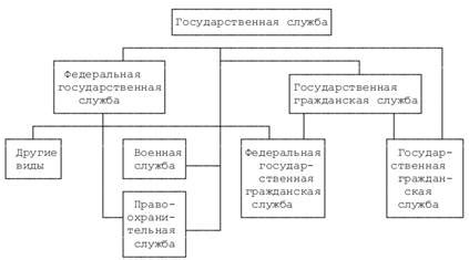 Основные черты и принципы функционирования Тиндера в Российской Федерации