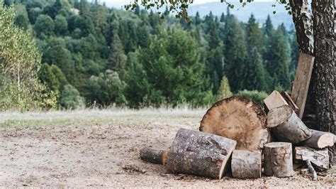 Основные шаги для удаления нежелательного образования с помощью лимонной кислоты